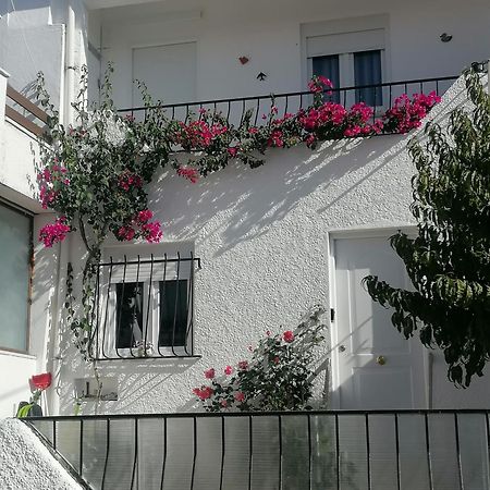 Cantinho Da Familia Avis Exterior photo