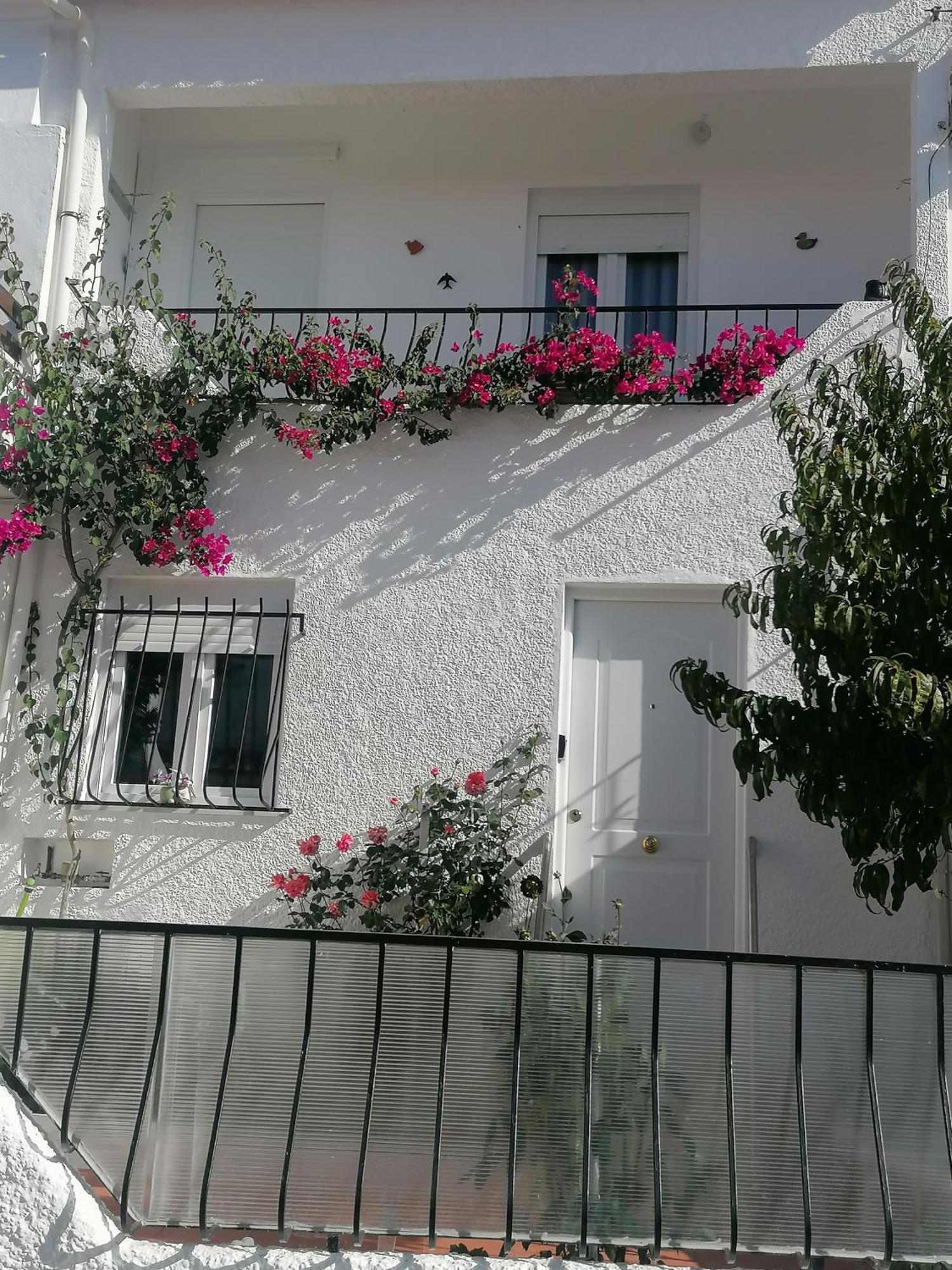Cantinho Da Familia Avis Exterior photo